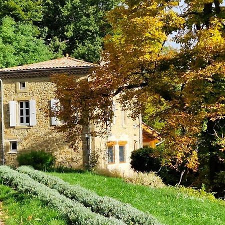 Gite Du Grand Delmas Бордо Екстериор снимка